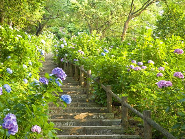 Japan_101