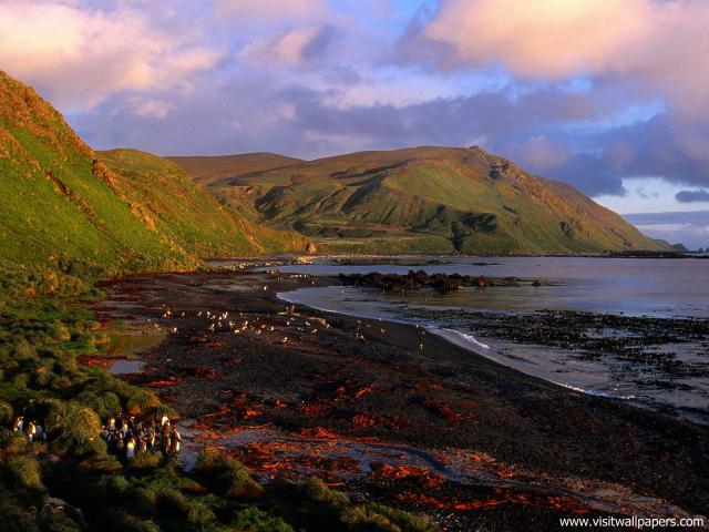 Islands_023
