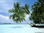 Islands_024