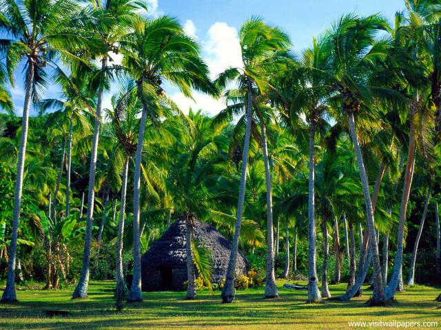 Islands_028