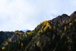 siguniang_012