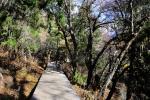 siguniang_018