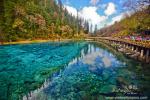 jiuzhaigou-valley_035