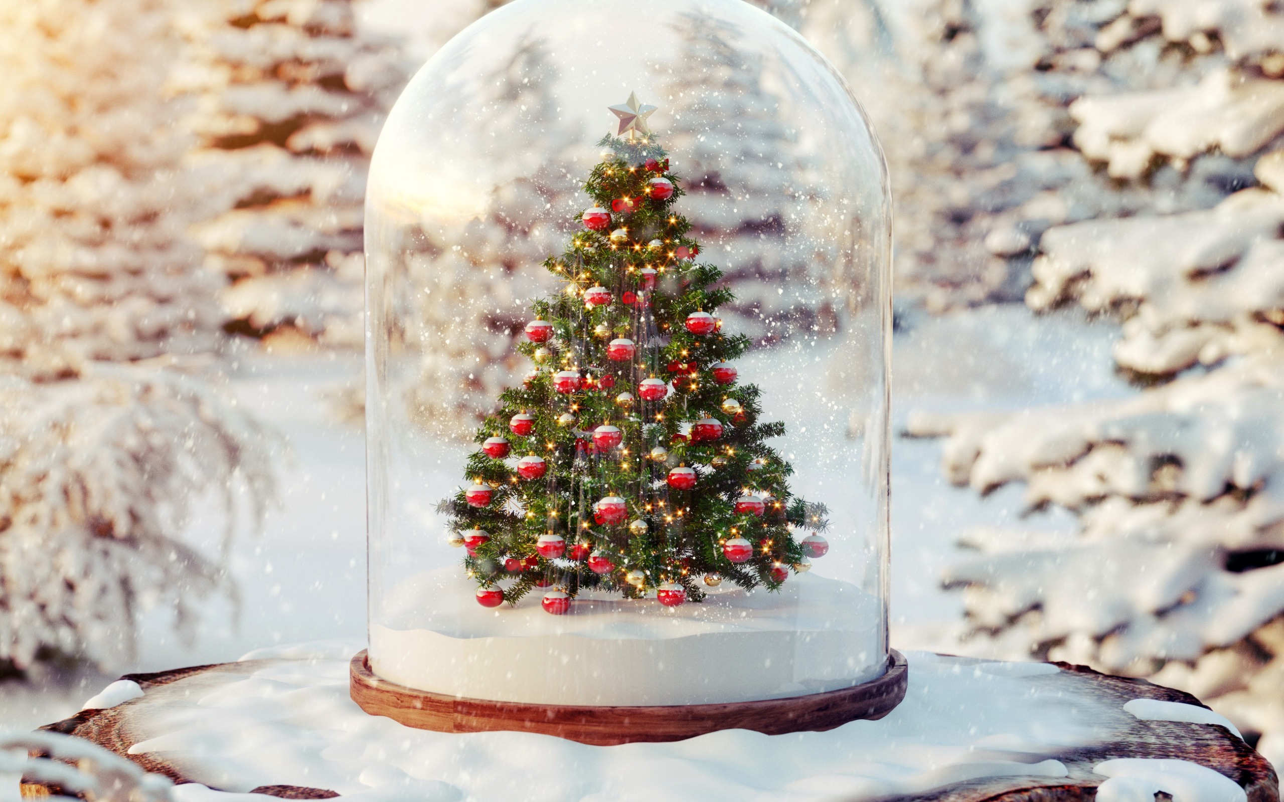christmas_004