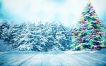 christmas_012