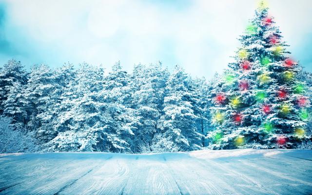 christmas_012