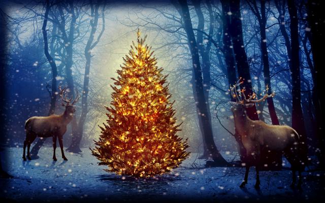 christmas_039