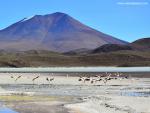 south_america_115