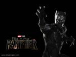 black_panther_04