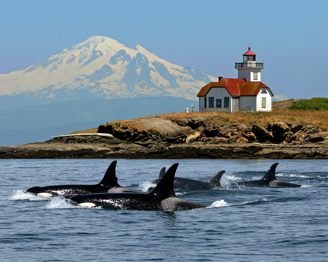 Lighthouse_91
