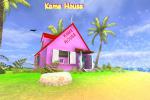 kamehouse04