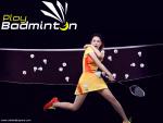 badminton12