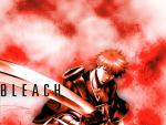Bleach06
