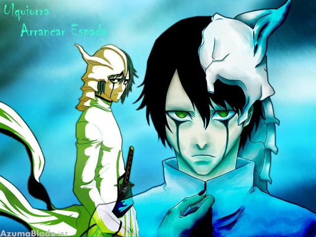 Bleach13