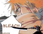 Bleach14
