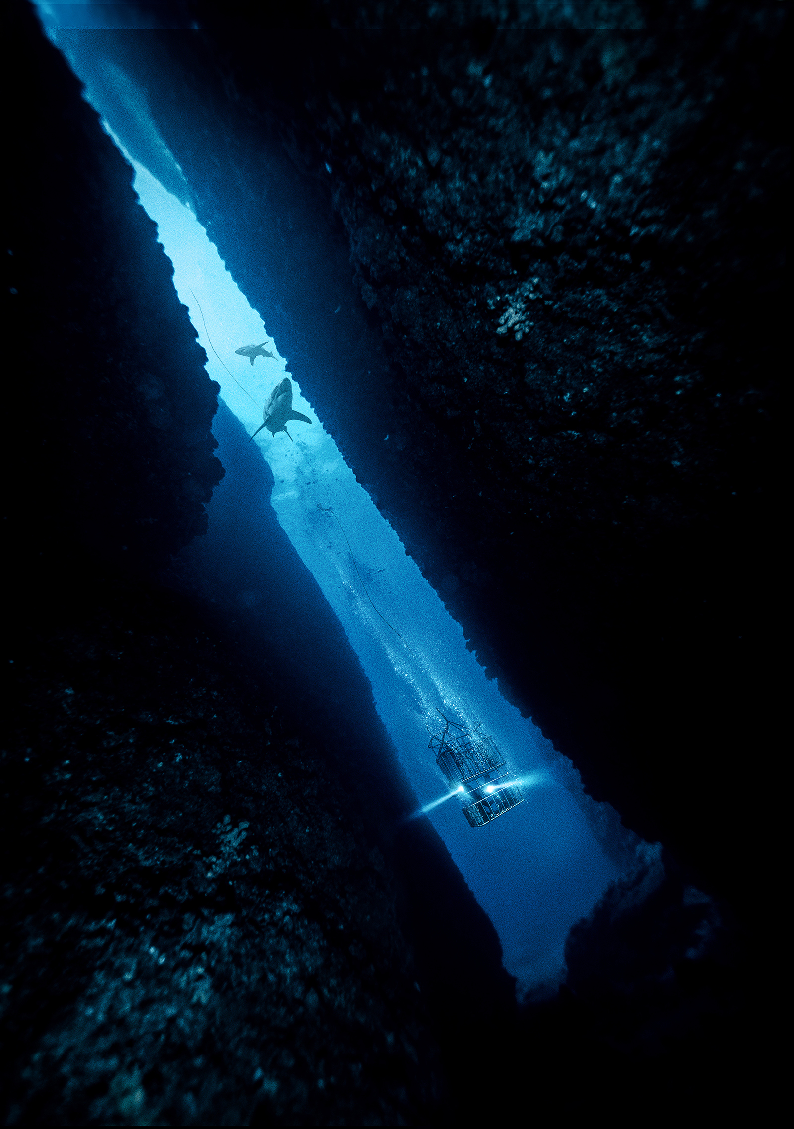 47_Meters_Down_2