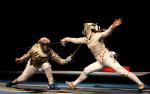 fencing_06