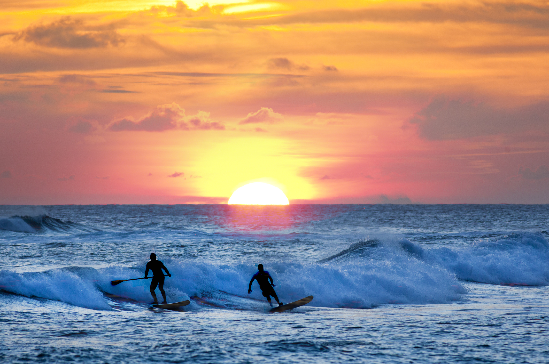 surfer_47