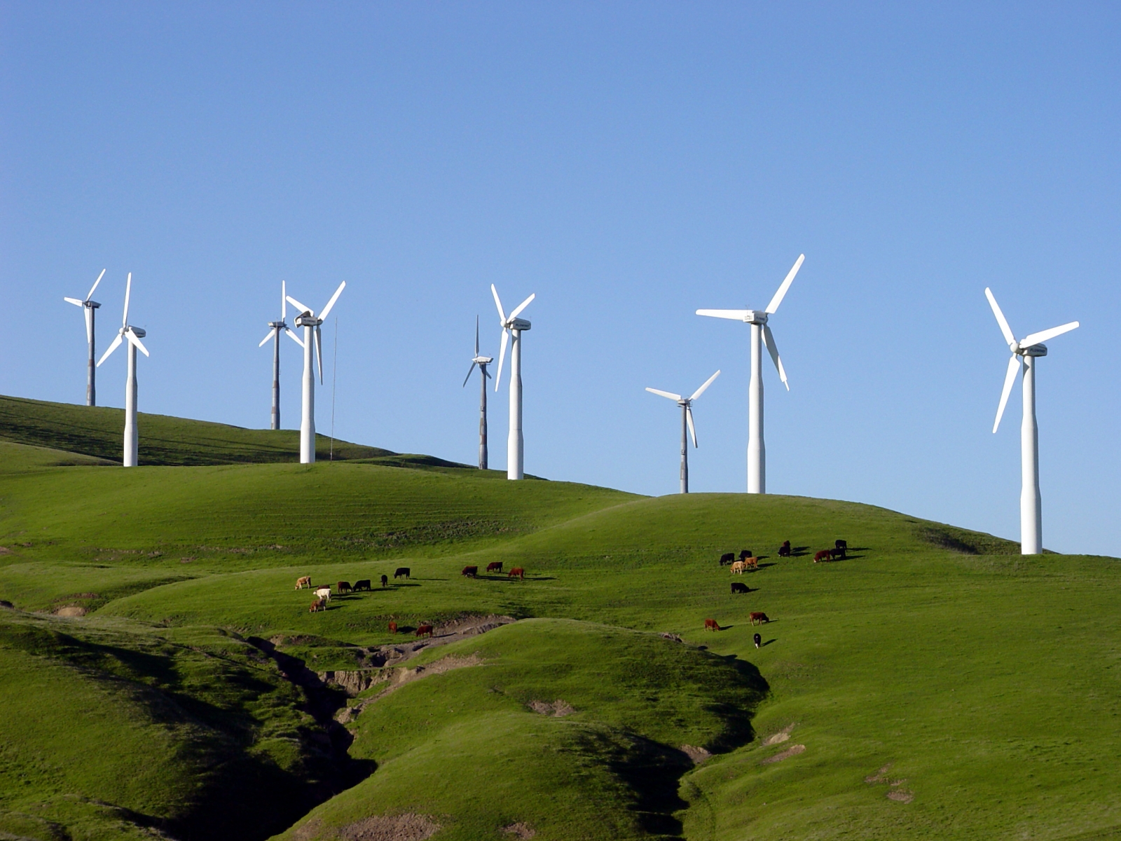 Windmill_10