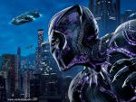black_panther_27