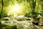 river_213