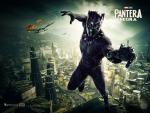 black_panther_34
