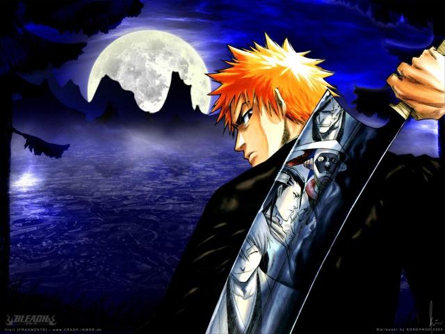 Bleach27