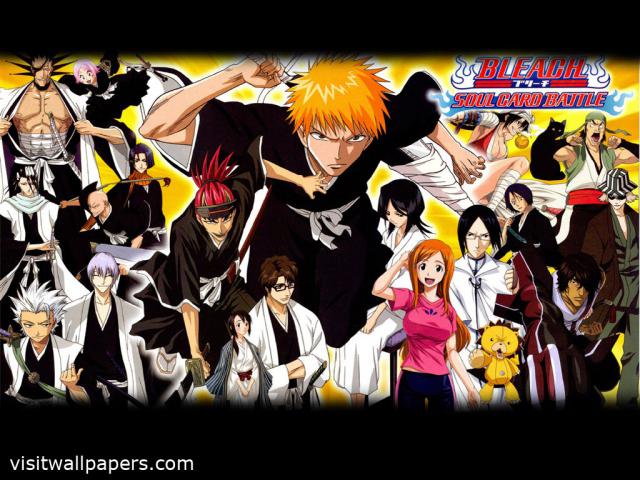 Bleach28