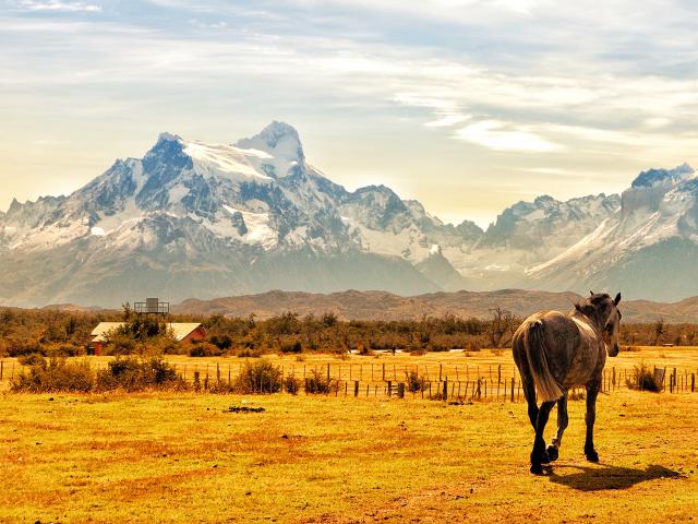 south_america_156
