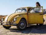 Bumblebee_02