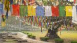buddha076