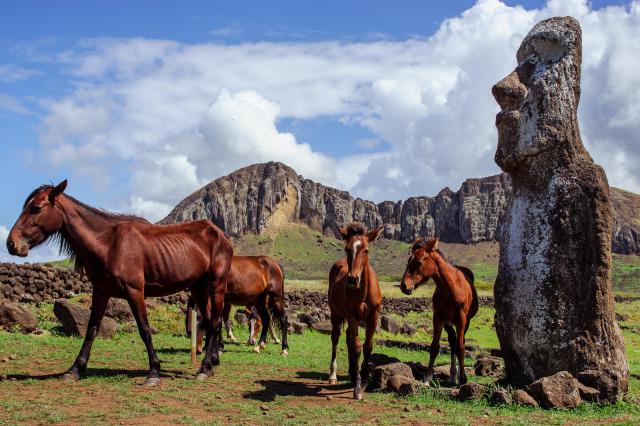 Moai_Stone_Statues_12