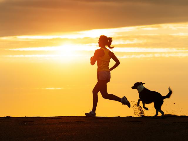 runners_36