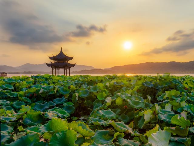 china_470