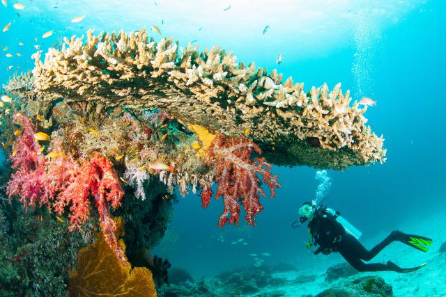 Scuba_Diving_09
