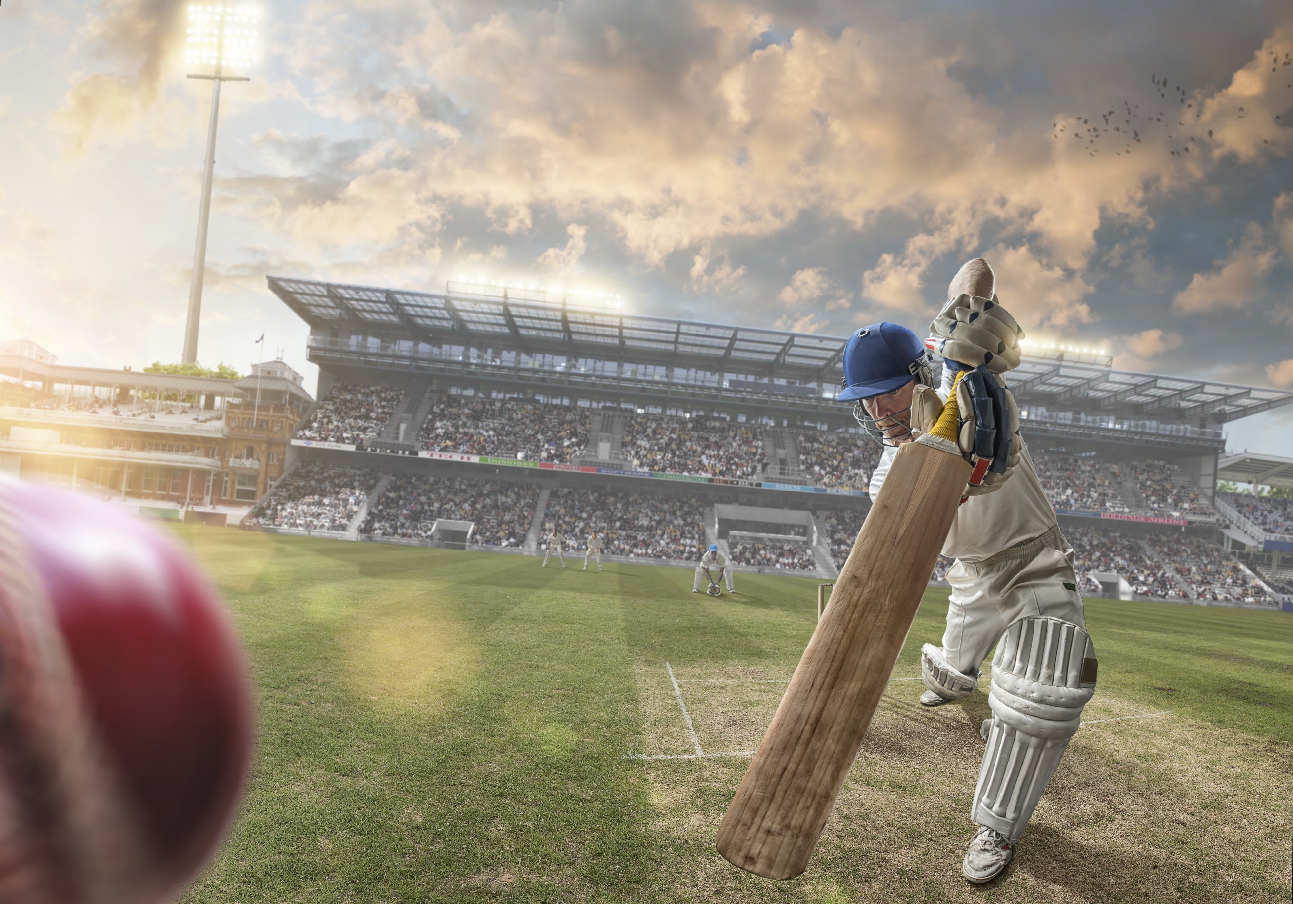 Cricket_01