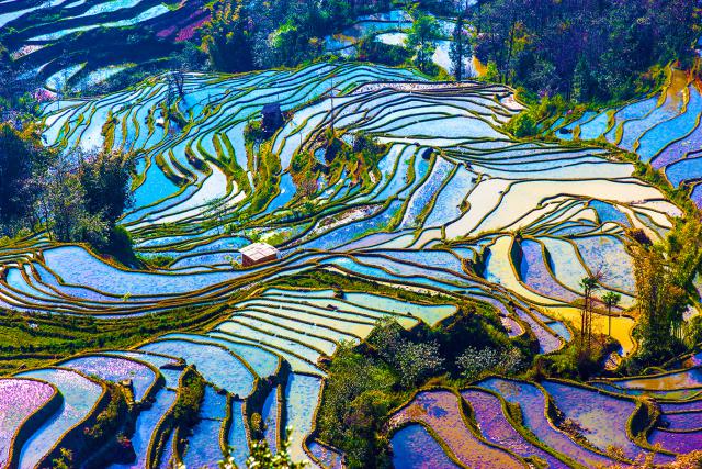 china_517