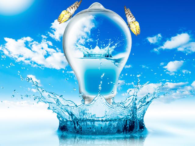 Image_0742