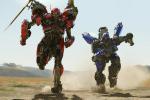 Bumblebee_06