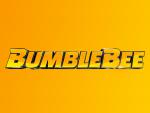 Bumblebee_08