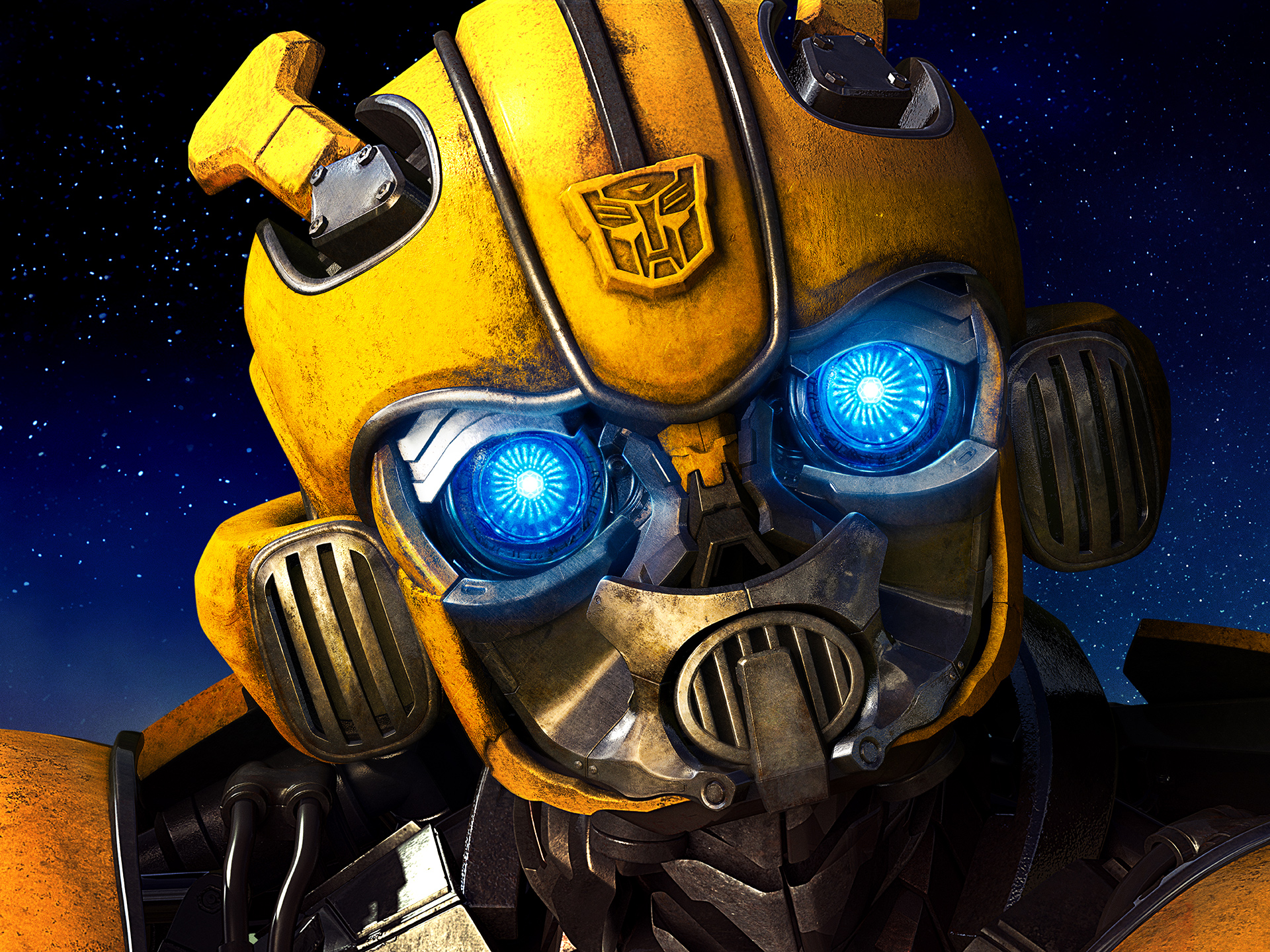 Bumblebee_12