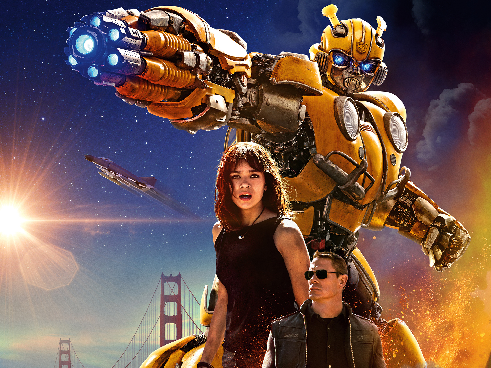 Bumblebee_13