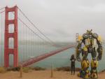 Bumblebee_25