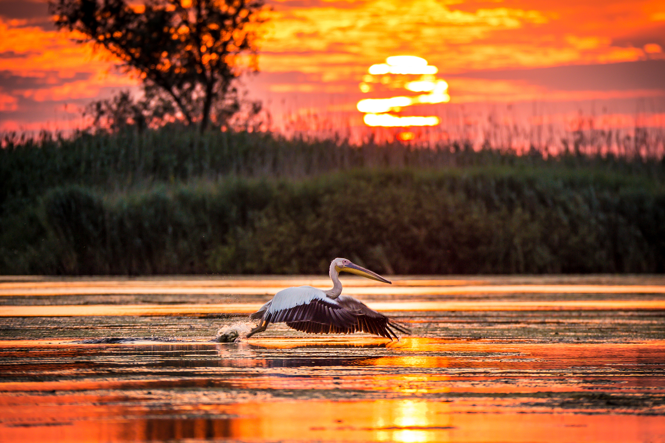 Sunrise_60