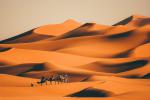 Desert_47