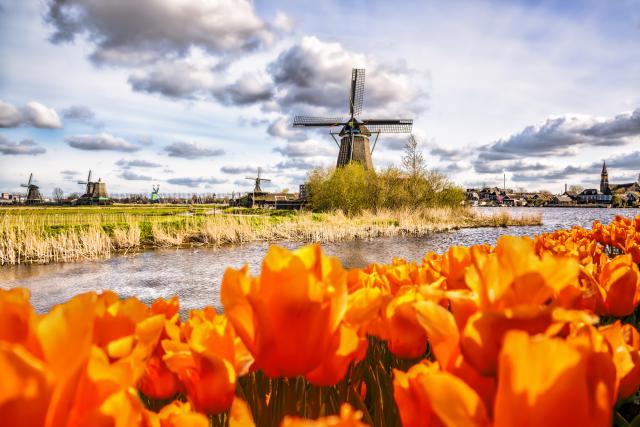 Windmill_25