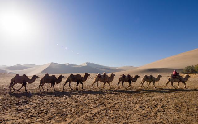 Desert_53
