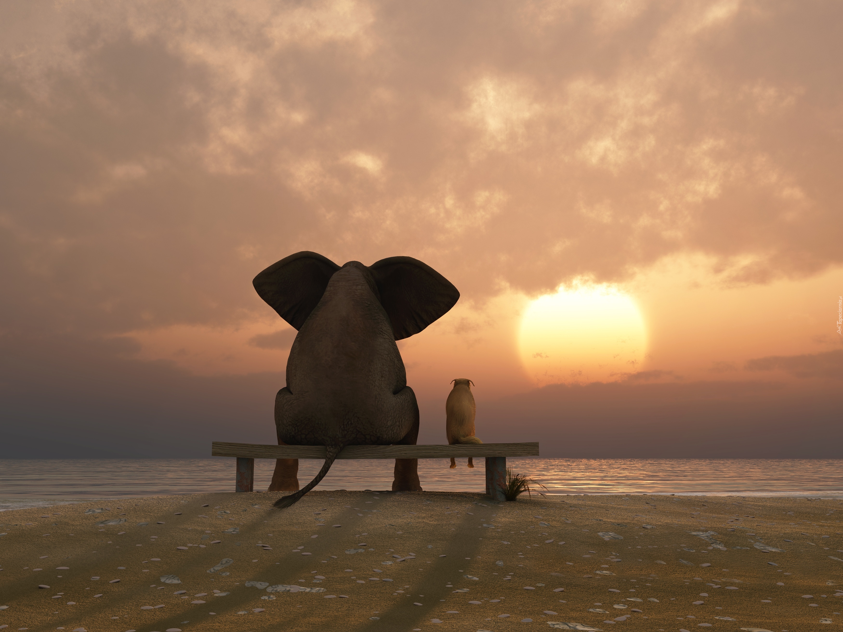 Sunset_210