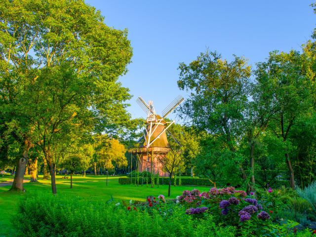 Windmill_30