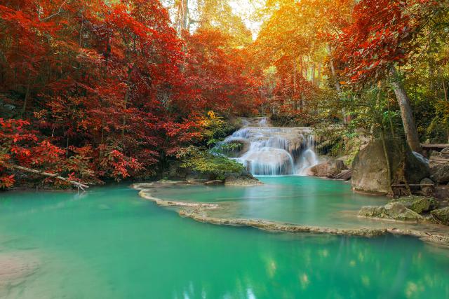 thailand_465